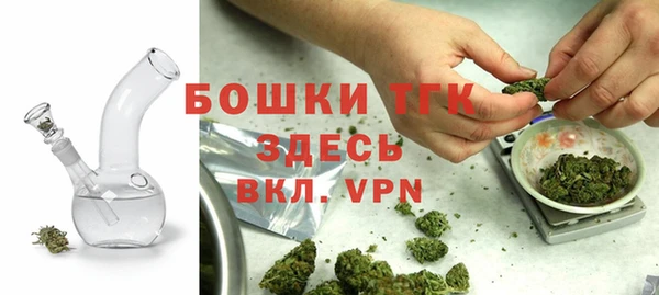 сатива Кулебаки