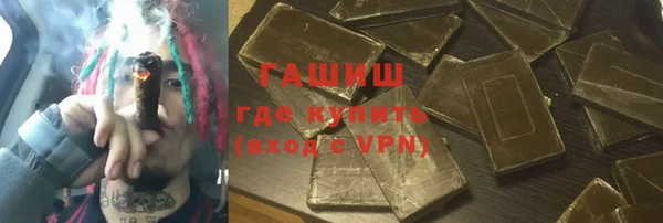 сатива Кулебаки