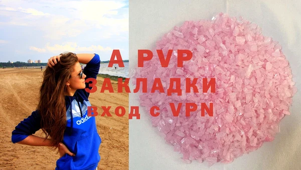 сатива Кулебаки