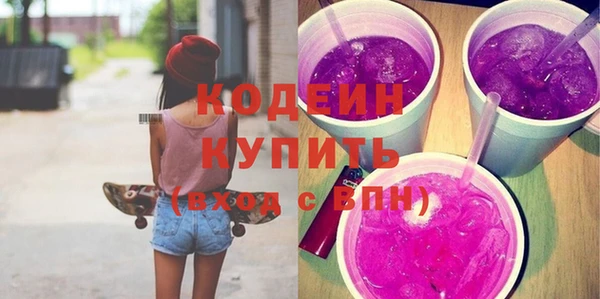 хмурый Тында