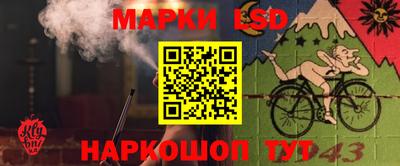 шишки Гусиноозёрск