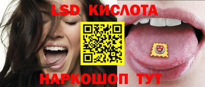 шишки Гусиноозёрск