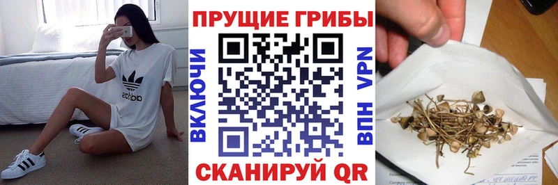 Псилоцибиновые грибы прущие грибы  Дальнереченск 