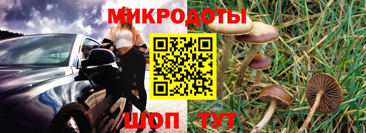 Псилоцибиновые грибы Cubensis  Вход с VPN  Дальнереченск 