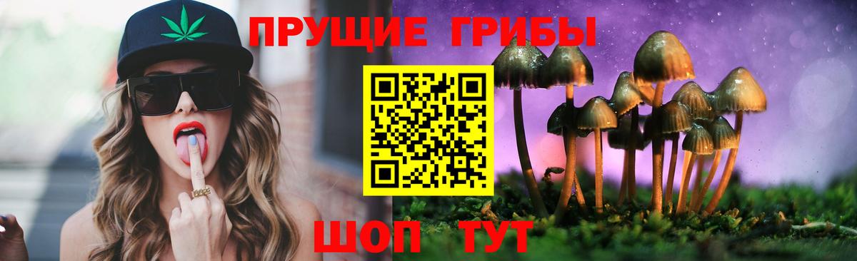 Галлюциногенные грибы Psilocybe Дальнереченск